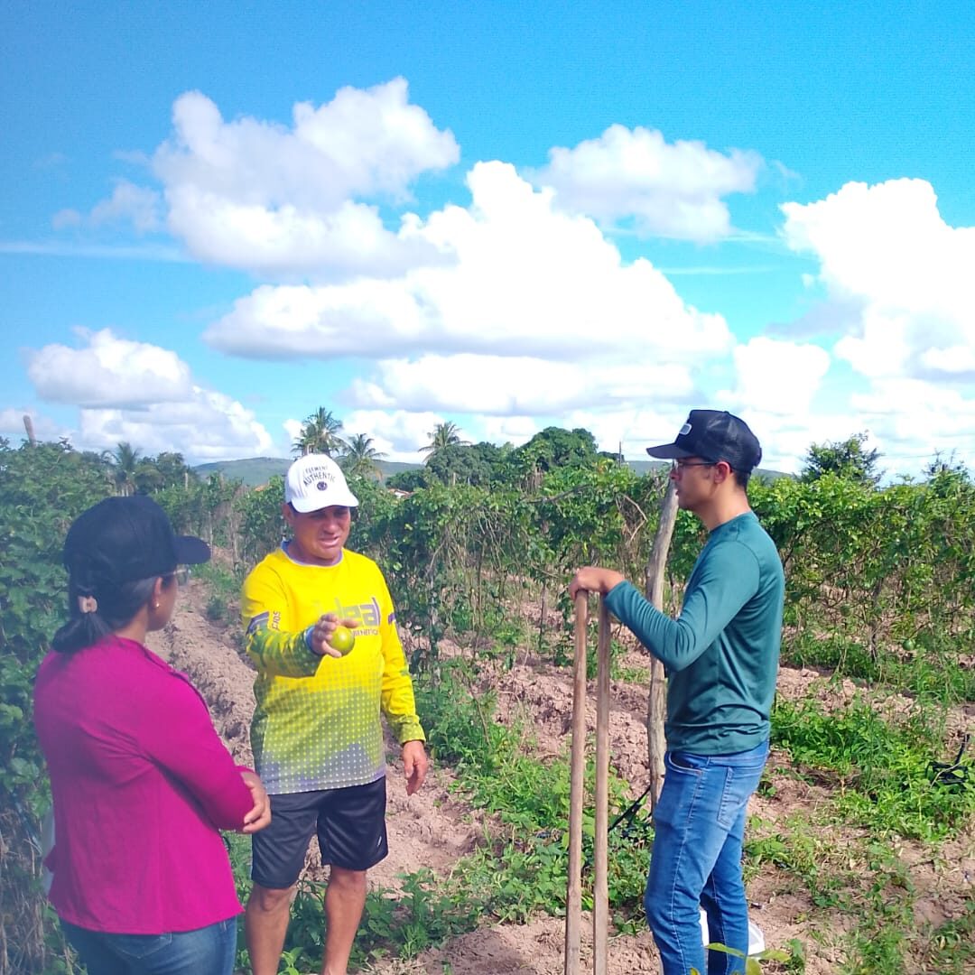 Imagem do WhatsApp de 2025-11-21 à(s) 10.02.44_c61584b4